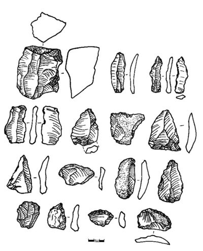 Apiancha.jpg