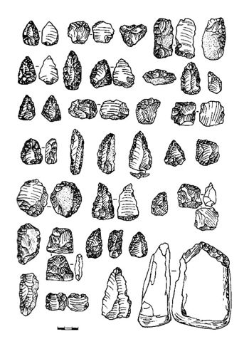 Brinjaosmgvime.jpg