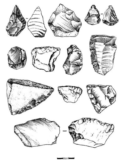 Copi1.jpg