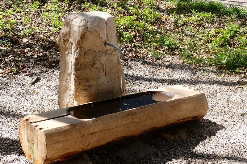 ფაილი:Geja.jpg