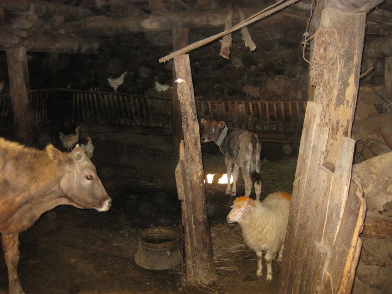 ფაილი:Gomi.jpg