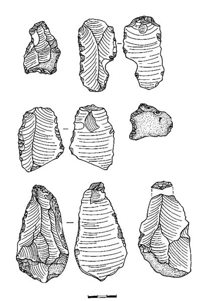 ფაილი:Ecerferdi1.jpg