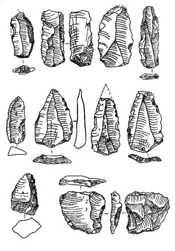 Tamarasheni.jpg