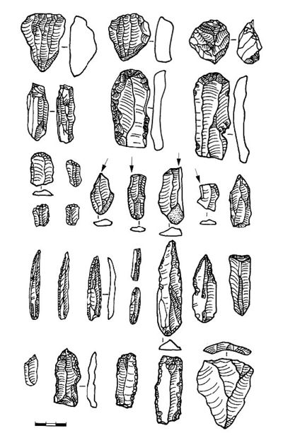 Sabelasuri.jpg