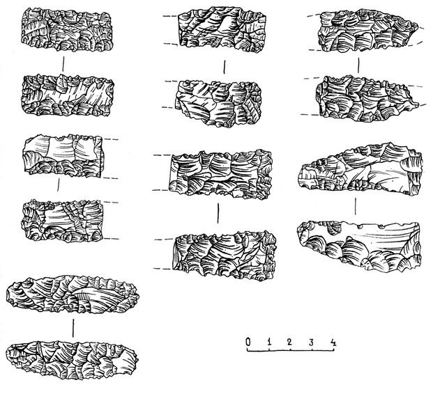 ფაილი:Namglis chasarti.jpg