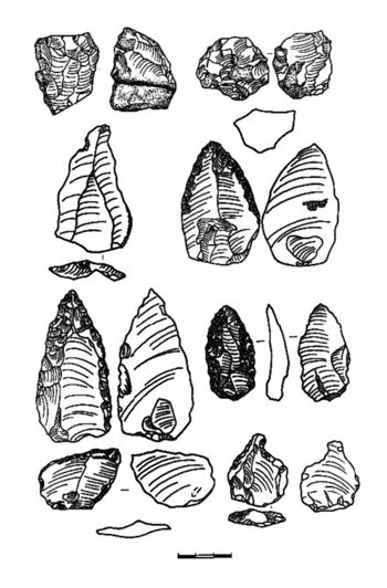Tetramica1.jpg