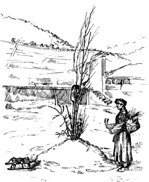 ფაილი:Zumkha.jpg