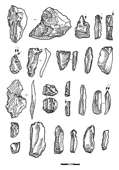 Apiancha1.jpg