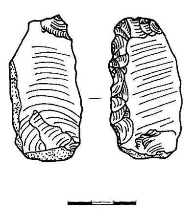 Ecerferdi.jpg