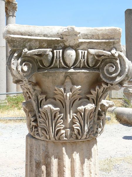 ფაილი:Acanthus.jpg