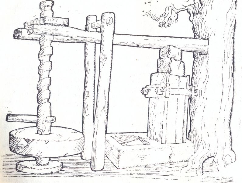 ფაილი:Wberi.jpg